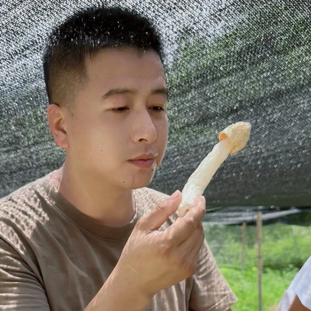 《小马推荐》农家竹荪手工挑选夏季炖汤