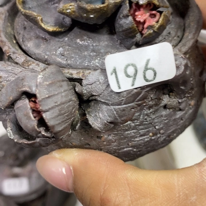 清***影柴烧裸烧源头产地