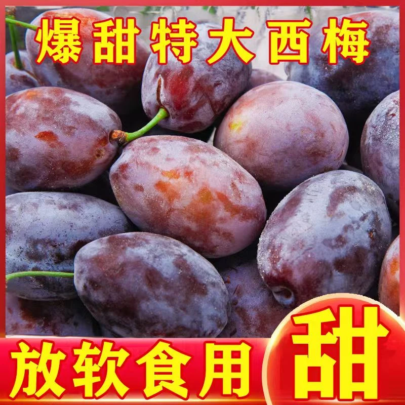 四川高山蜂糖大西梅新鲜正宗蓝蜜脱骨黄肉西梅整箱包邮