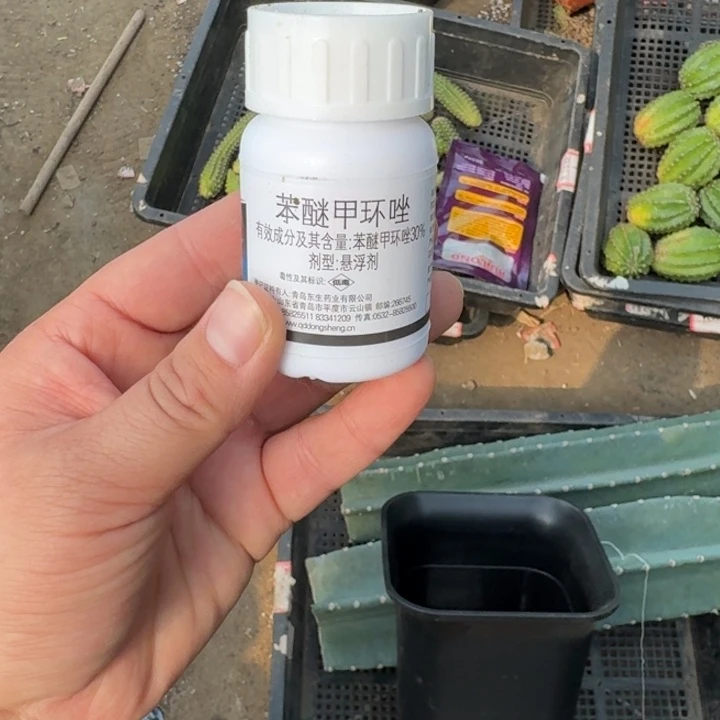 杀菌苯迷甲环座一瓶40克