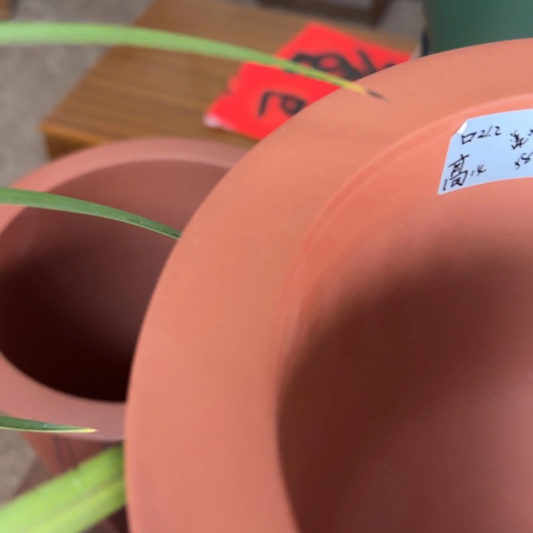 紫砂远***风正宗老紫玉金砂