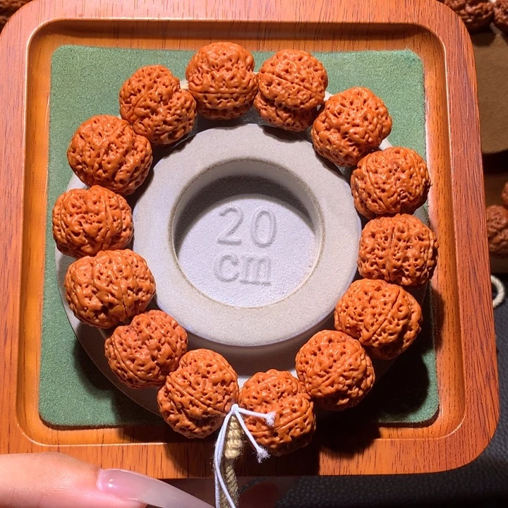 手串金刚菩提开播福利23+多肉