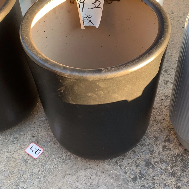 花盆里的小猫咪们都好可爱啊哈哈哈哈哈