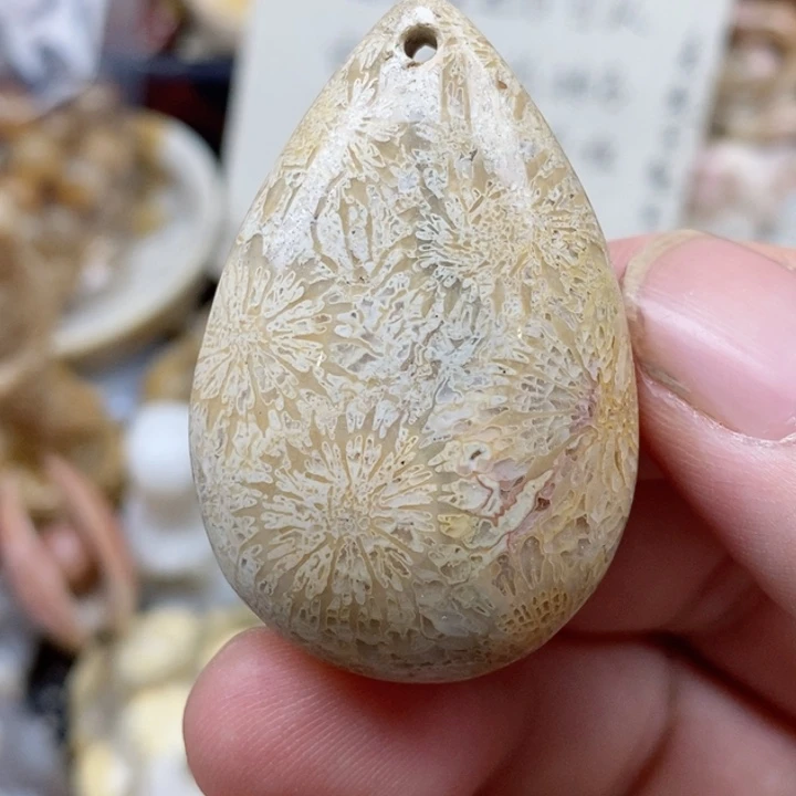 硅化珊瑚（珊瑚玉）未镶嵌颈饰