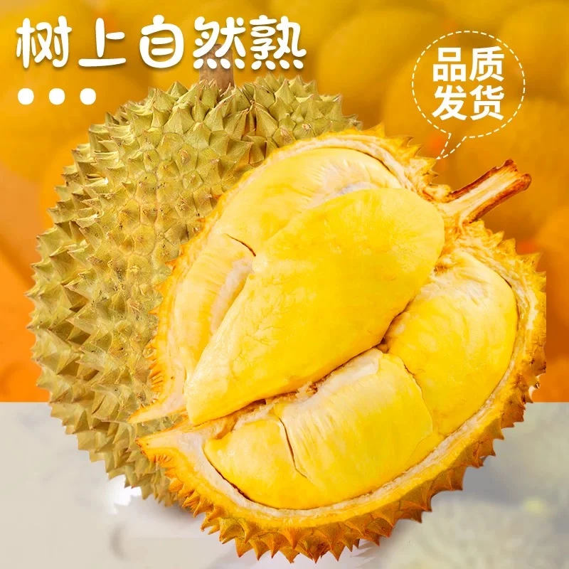 【现开纯肉】泰国金枕头榴莲果肉1-2.5市斤 新鲜榴莲核小肉多金枕泰国