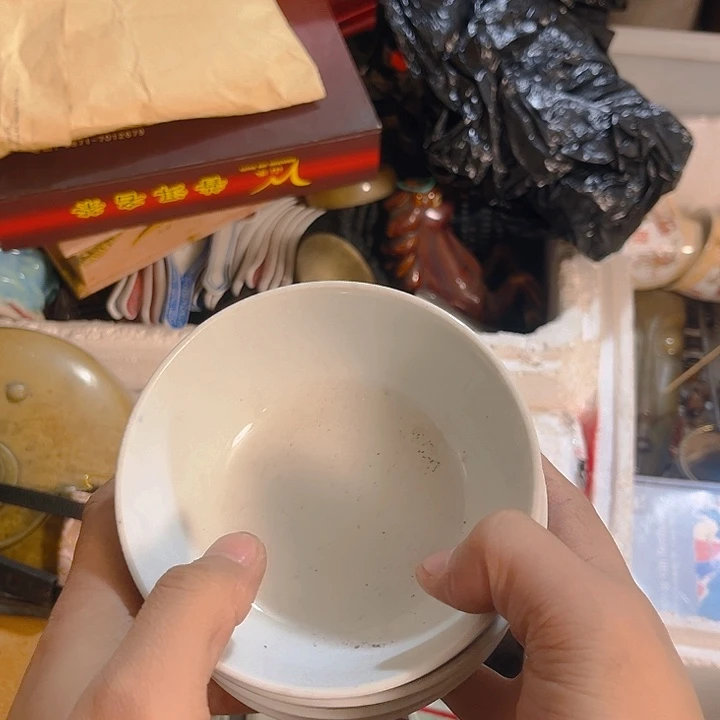 杂色豆（科檀/科特迪瓦檀木）苗*