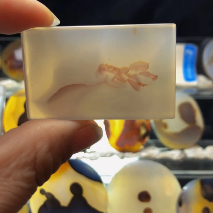 合金玛瑙/玉髓珠宝奇石151