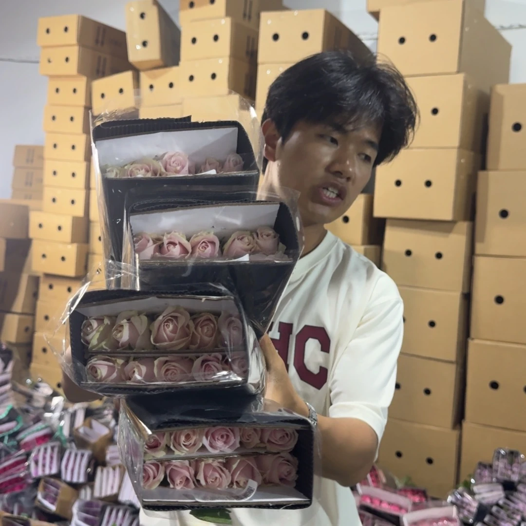 粉红雪山10扎包邮价秒杀