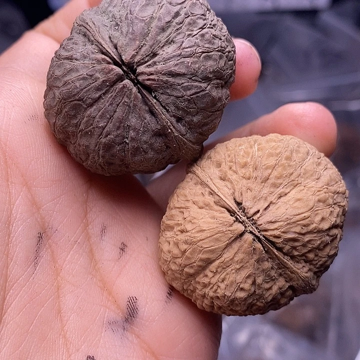 把件文玩核桃   209
