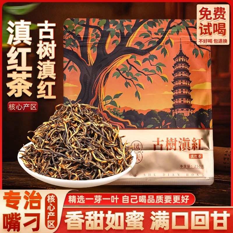 云南古树滇红茶凤庆古树金丝蜜香薯香减功夫红茶金芽茶叶脂自己喝