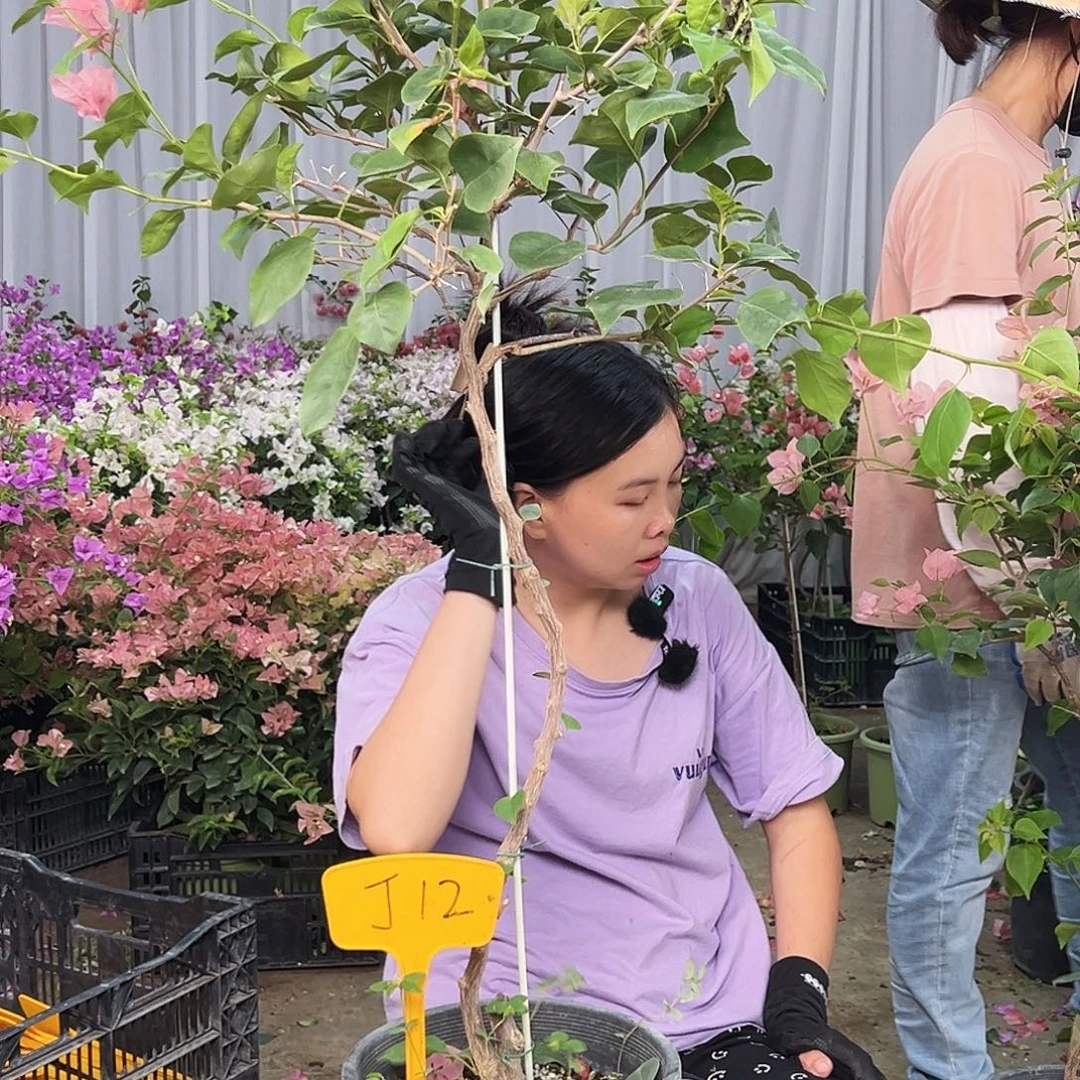 用***3完全开放J12不甜西瓜