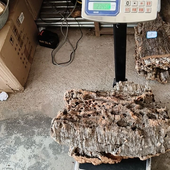 一物一拍一物一发