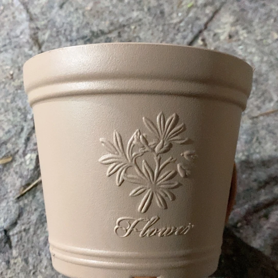 5个16口浅色浮雕无托伊特（16×13.8）