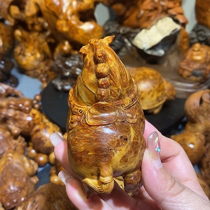 逆***草柏木太行崖柏陈化