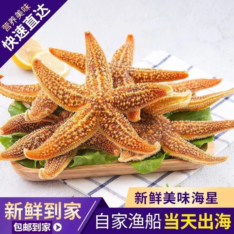 新鲜海星超大熟冻满籽即食海五星海鲜批发冷冻海星干货煲汤泡酒料