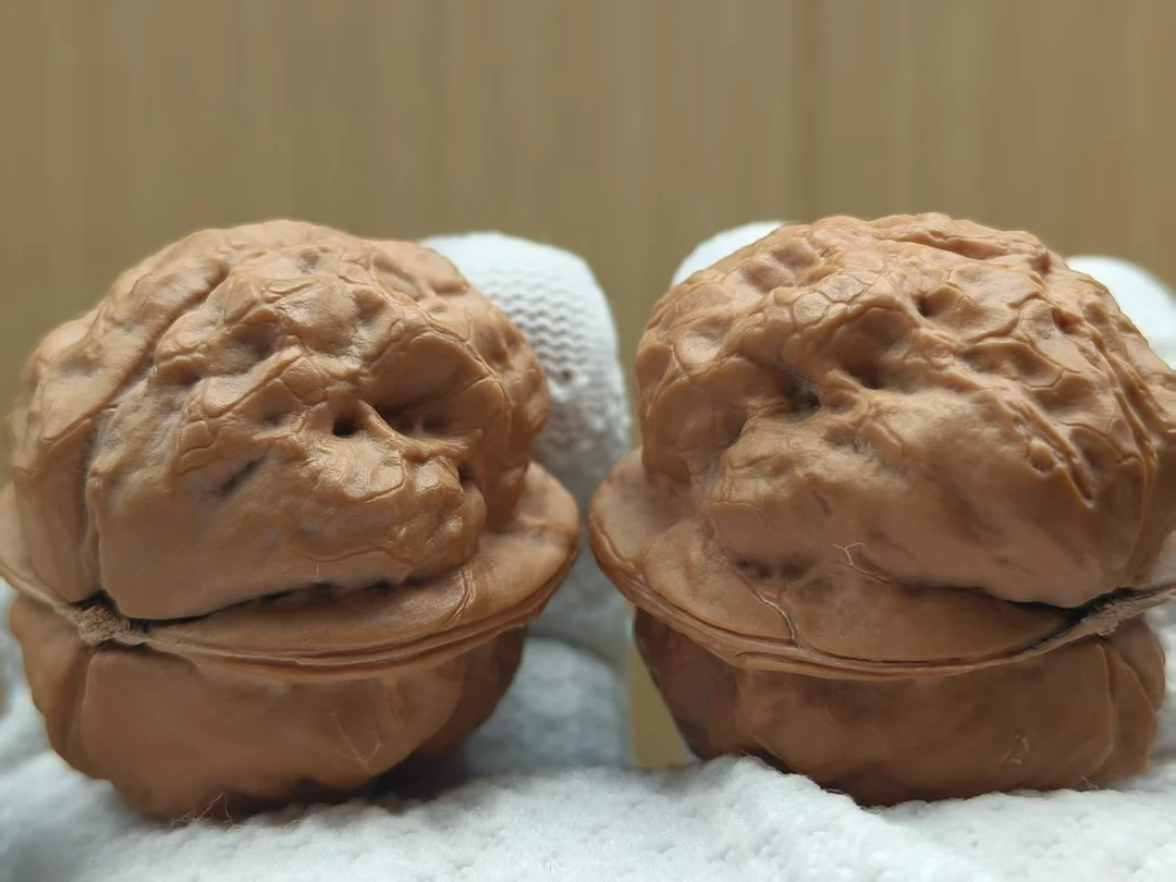 云南野生铁核桃金蟾疙瘩包尺寸约43