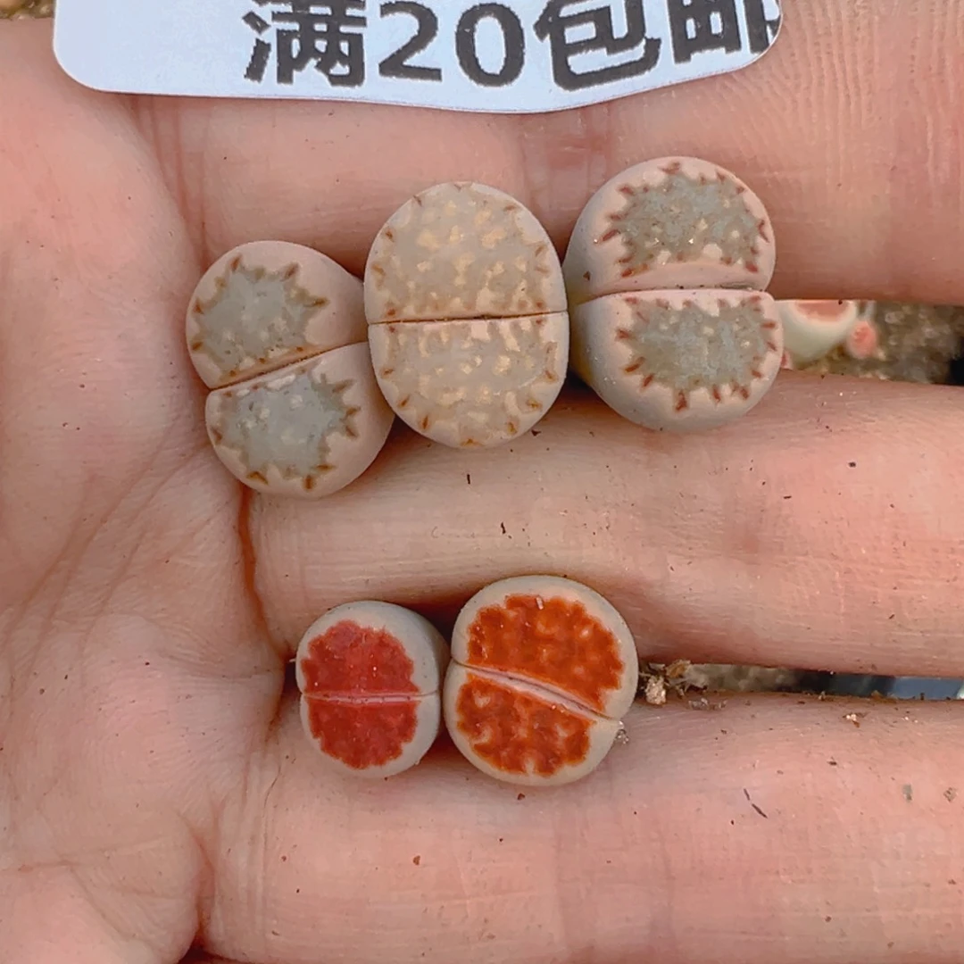 【闪购商品】417……