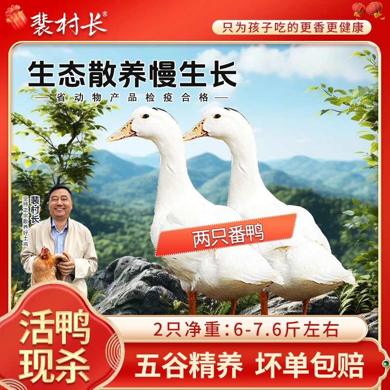 【拍一发二】老裴家正宗放养土鸭红烧爆炒鲜美新鲜保鲜