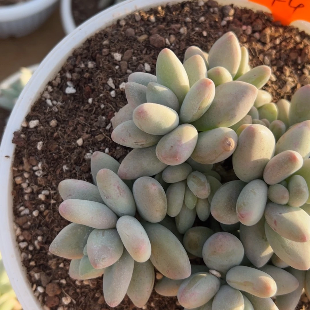 141111111111111111111111