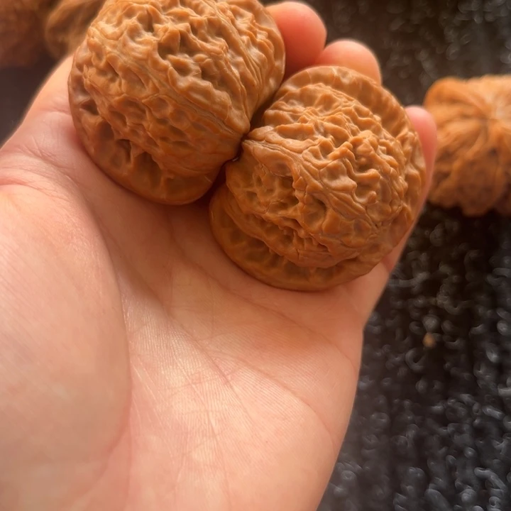 大叶紫檀（黑酸枝木类）白狮子