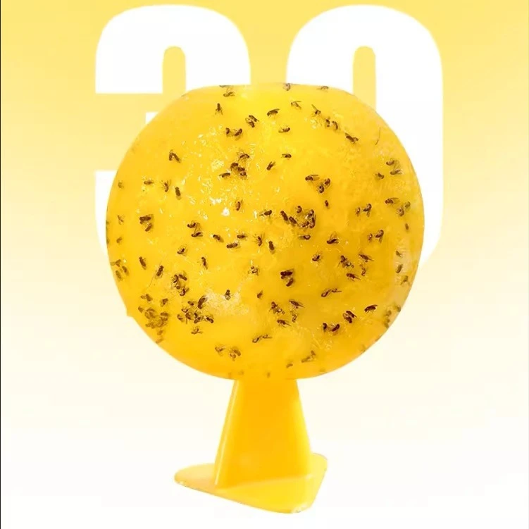 诱蝇球带底座厨房卫生间粘粘小飞虫无味