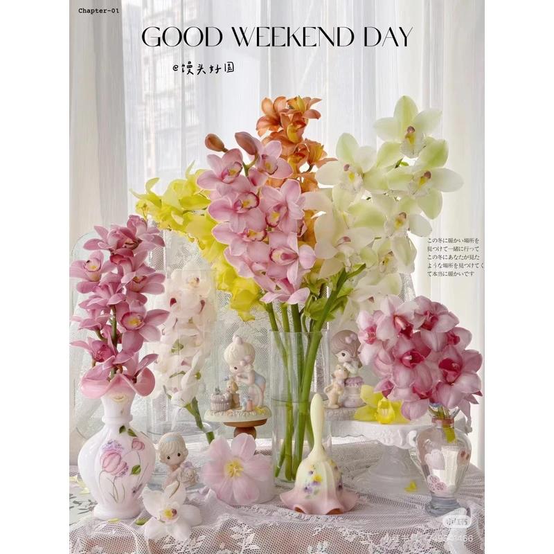 2单起发【英茂大花惠兰链接】云南产地直发 | 新鲜采摘