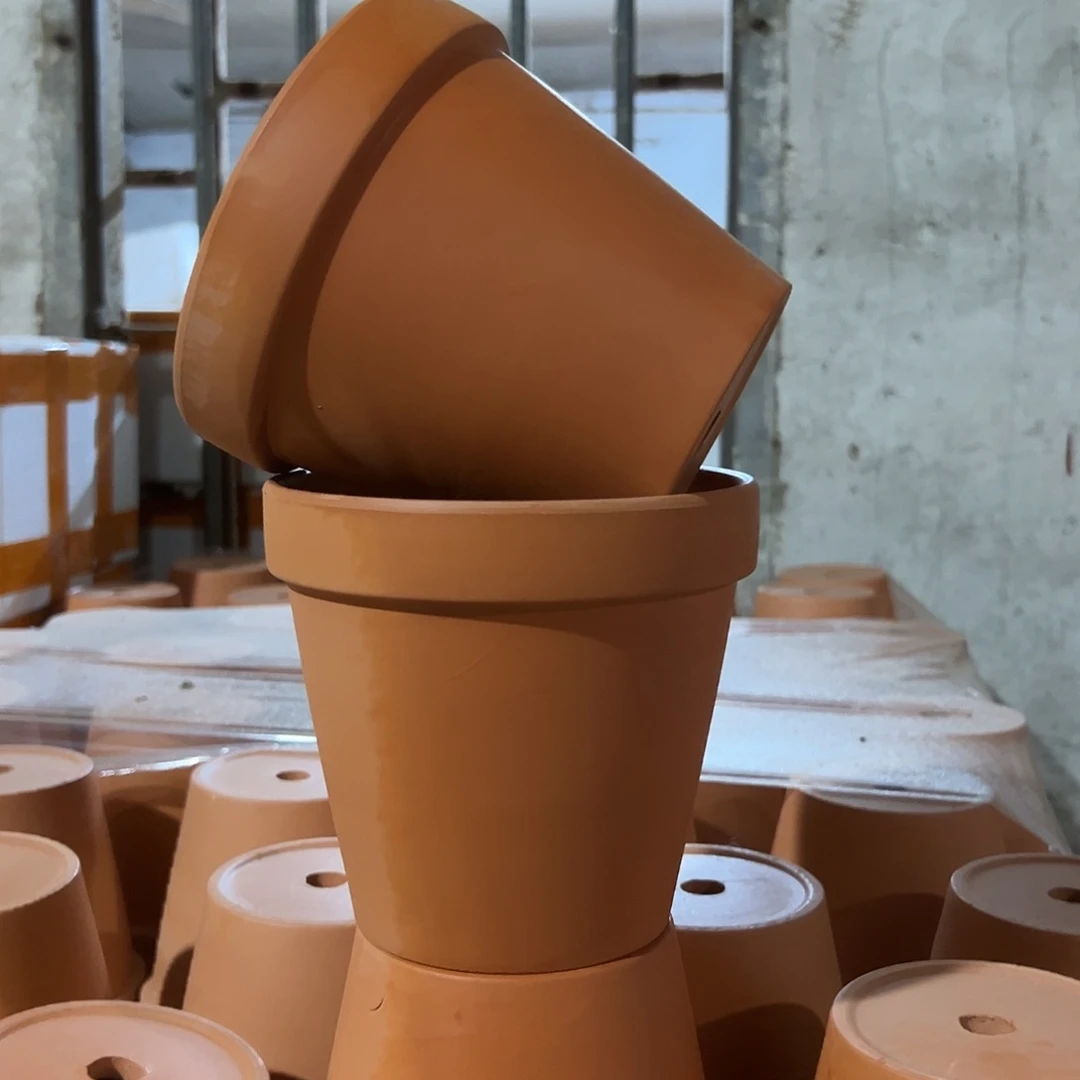 先行版15口14高2个【微瑕】