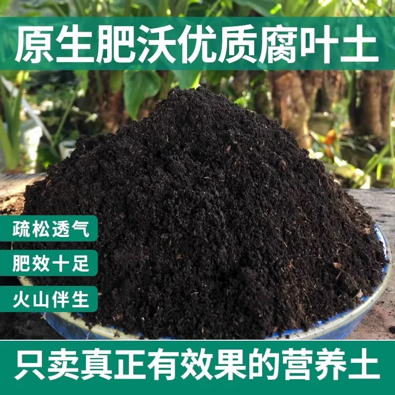 腐殖土腐叶土腐熟通用型营养土养花种菜专用种植土透水透气泥炭土