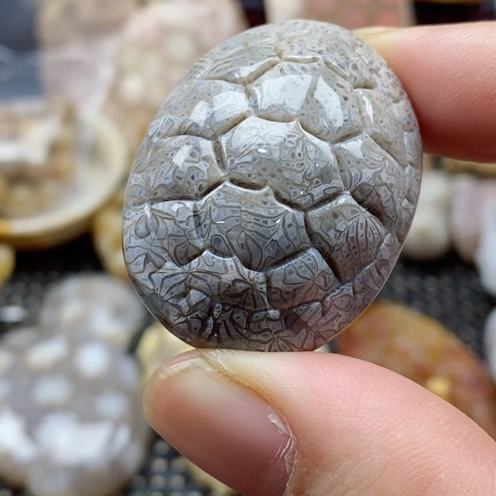 硅化珊瑚（珊瑚玉）颈饰未镶嵌