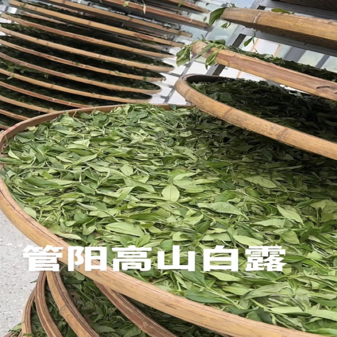2025年管阳河山白露寿眉.鲜甜高香