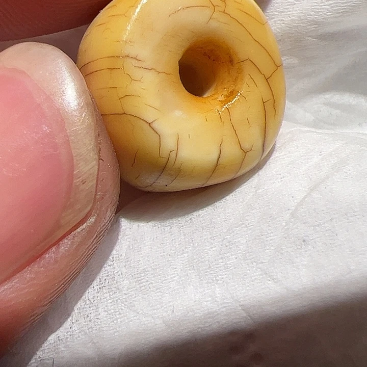 香榧木你的时候你是