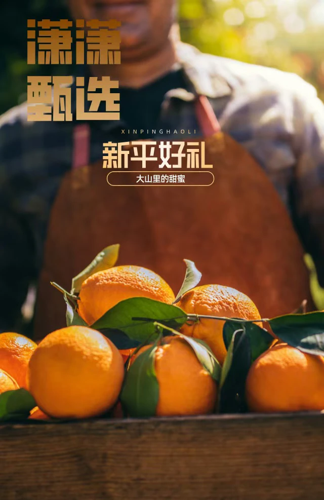 潇潇甄选高山沃柑礼品盒  送礼佳品