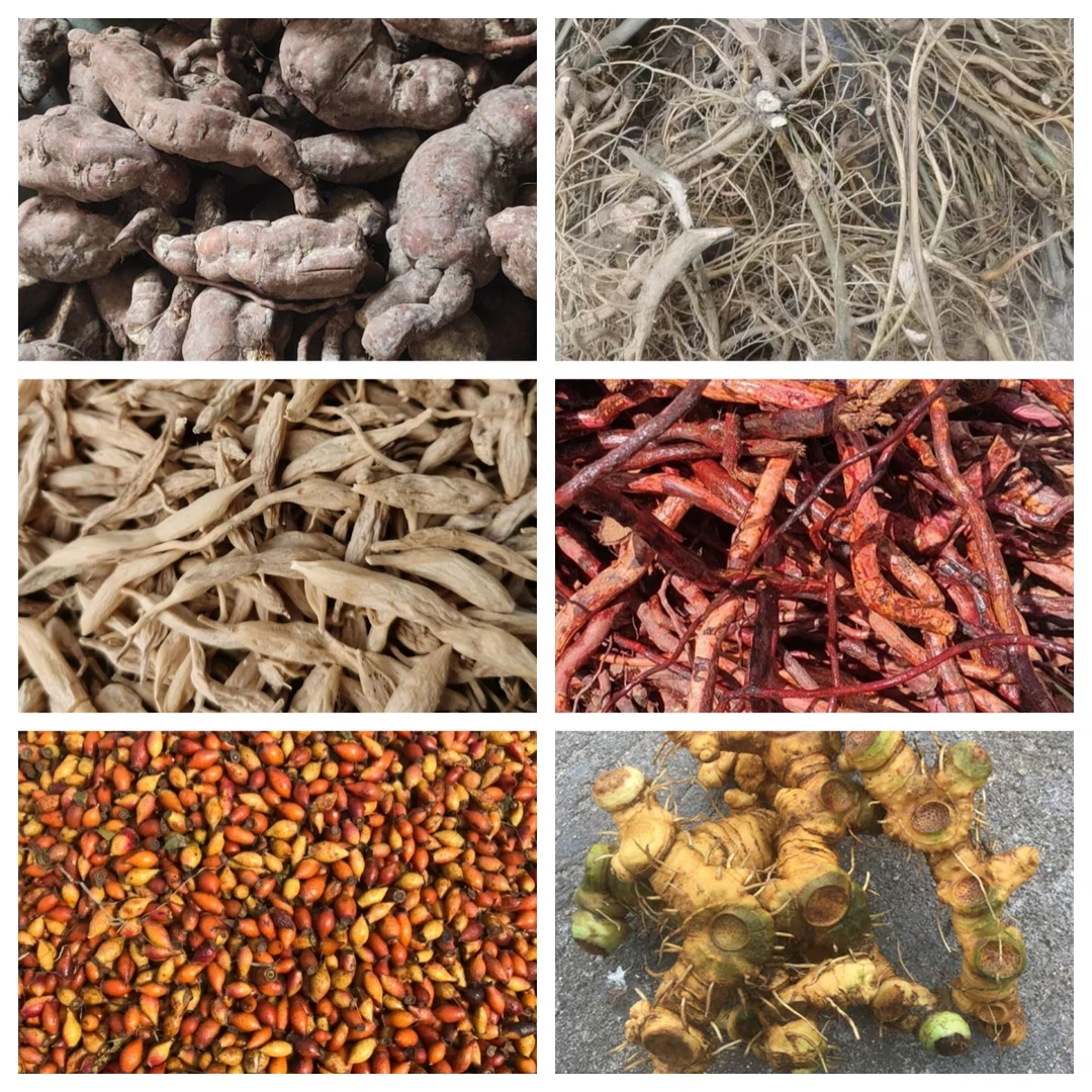 山货一物一拍链接花果根茎专拍现场挑选