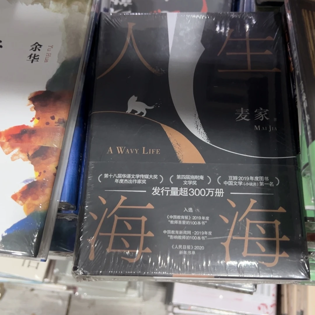 人生海海精装一个