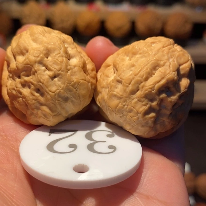 木质类金蟾蛤蟆头36尺寸