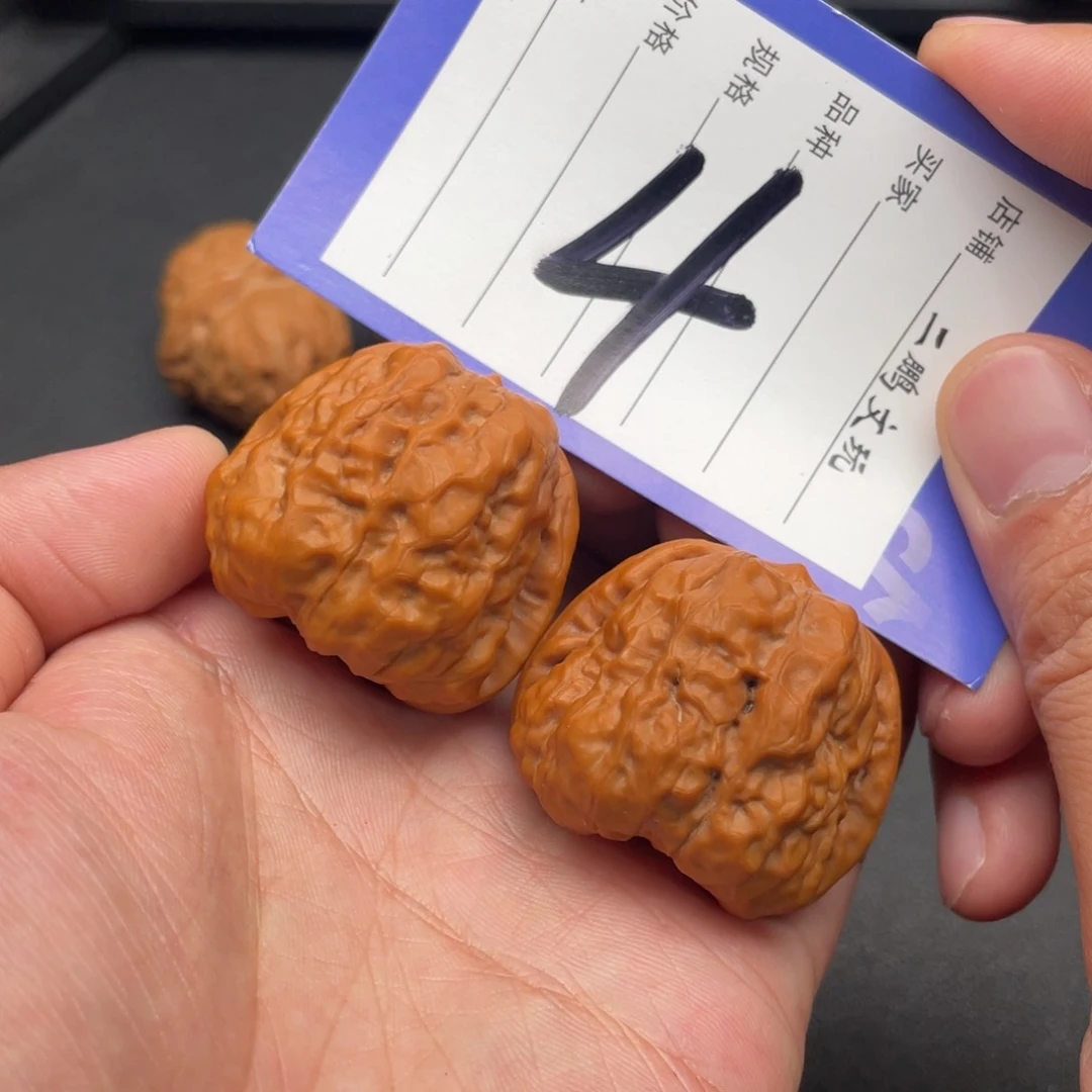 文玩核桃把件蛙蛙38