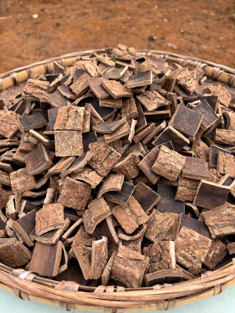 杜仲 农家货老杜仲泡酒煮茶煲汤