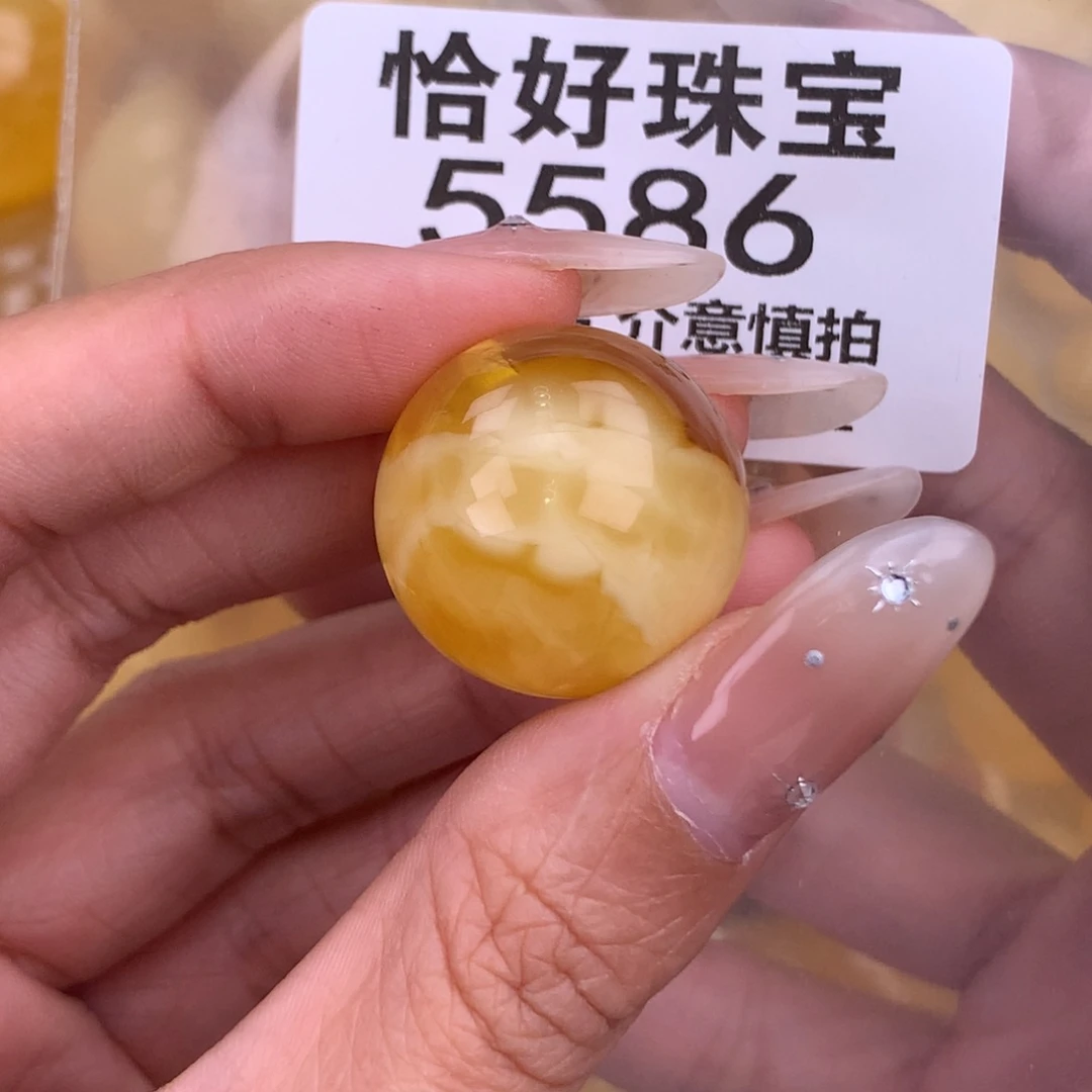 琥珀未镶嵌珠宝奇石22.6 植物