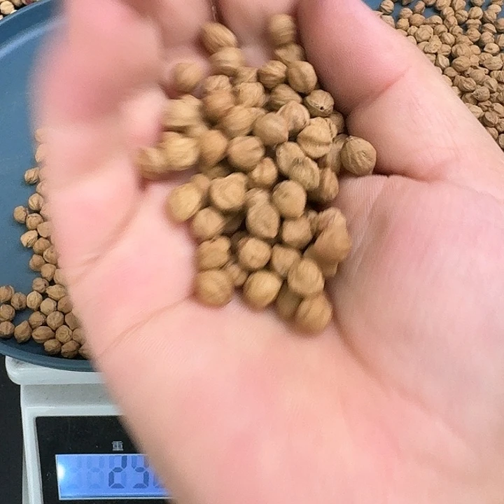 吊坠柏香籽/百香籽18号7+202克IB078