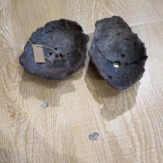 有***可1223445778855566