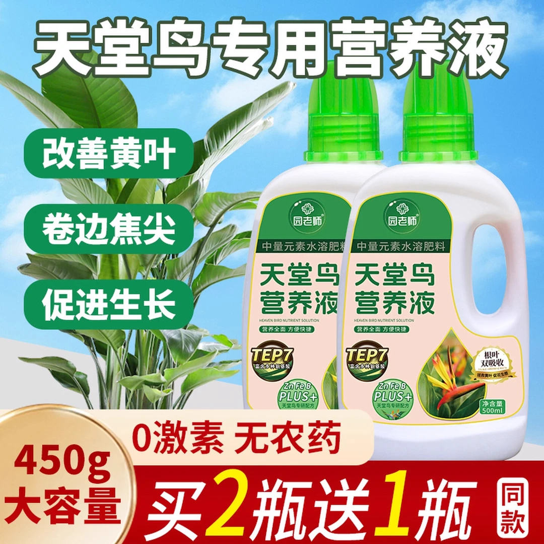 天堂鸟专用营养肥水培绿植盆栽天堂鸟营养液黄叶液体卷边专用肥