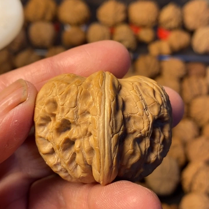 寒***影大叶紫檀（黑酸枝木类）