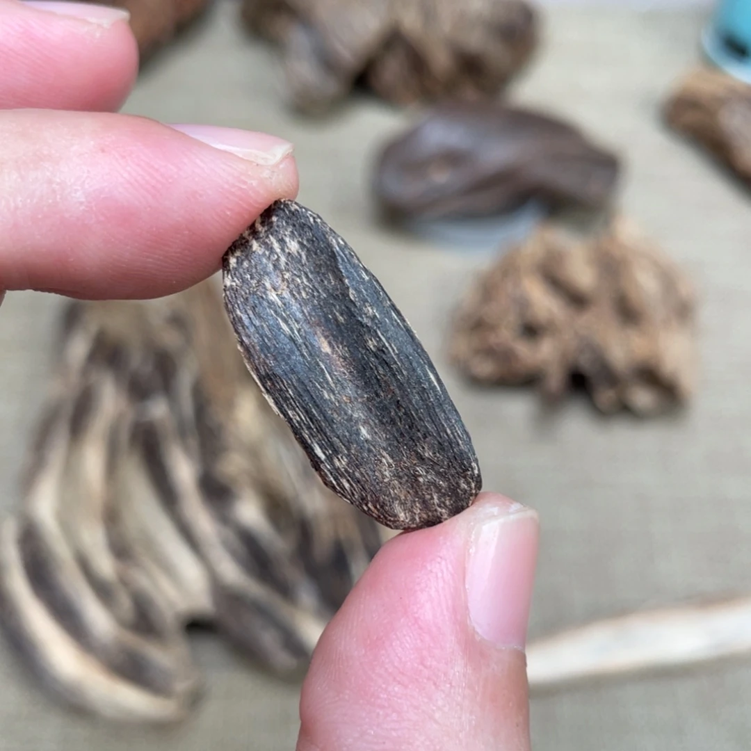 沉香天然野海南瓜子沉香