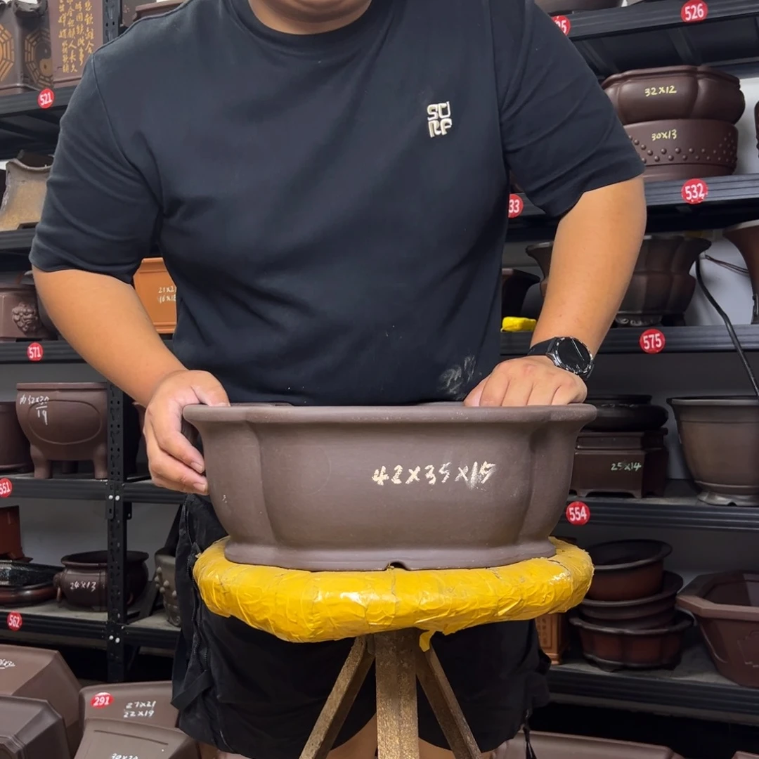 紫砂花盆呜呜呜呜呜我