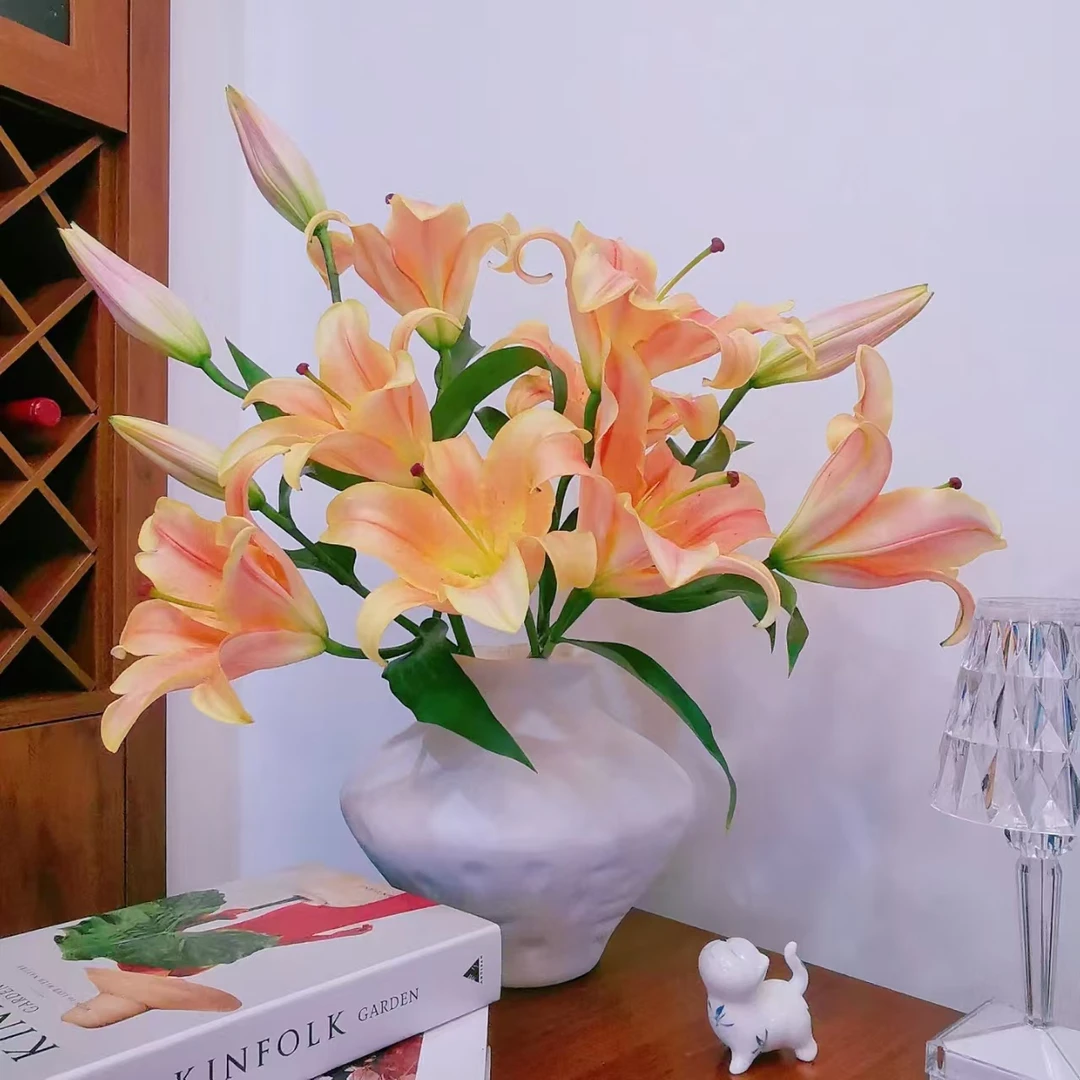 一见钟情单瓣香水百合鲜切花（五度以下拍保温棉 不拍不售后）