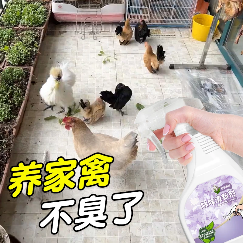 家禽除味清新剂室内圈养鸡鸭去粪便异味大鹅饲料残留氨气除臭喷雾