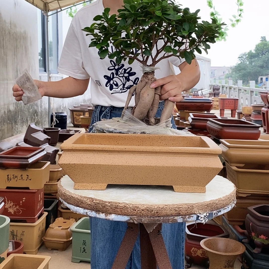 花盆紫砂紫砂花盆