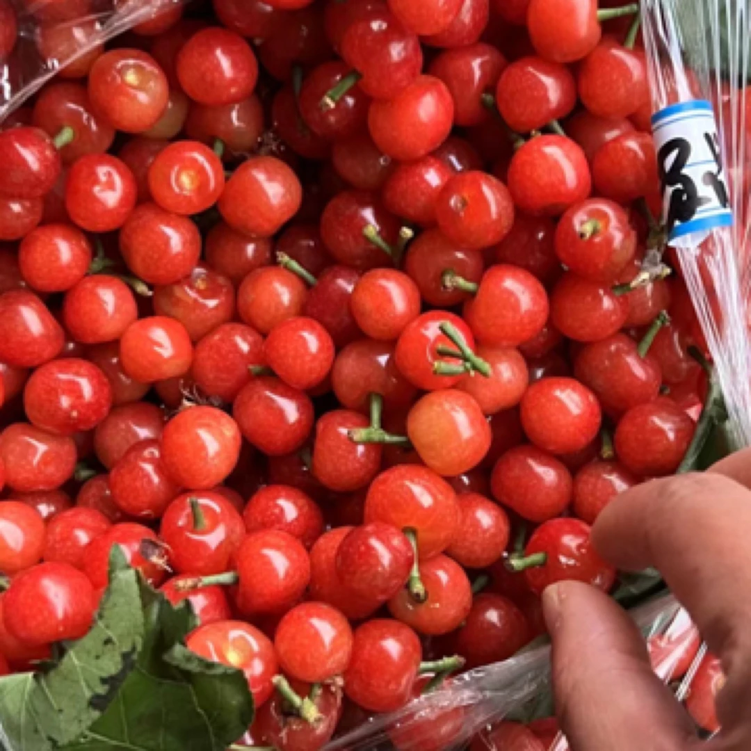 （同城配送）攀枝花樱桃500gLll樱桃