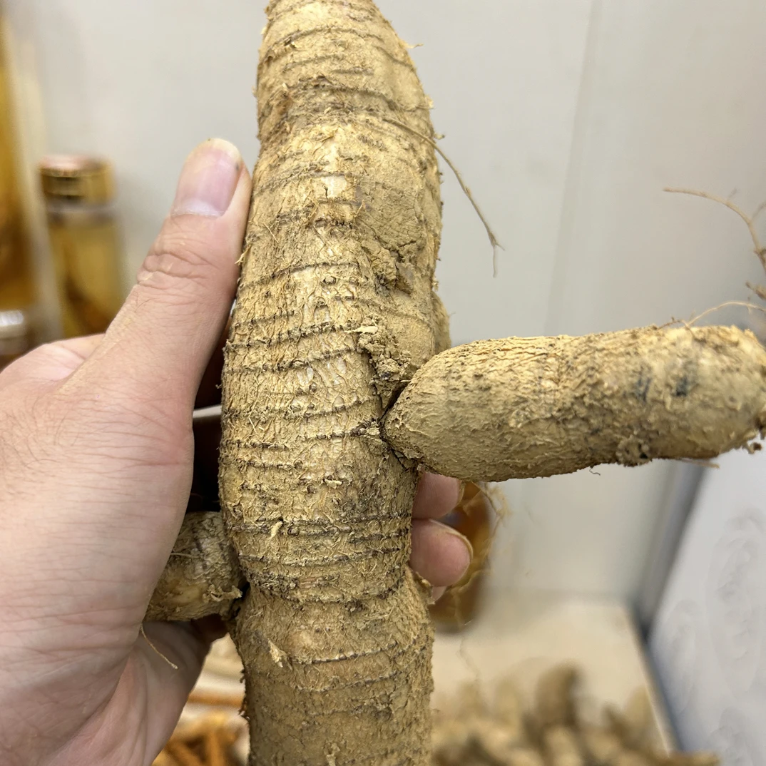 新鲜小叶粉质牛大力带皮农家土特产煲汤煮水泡酒