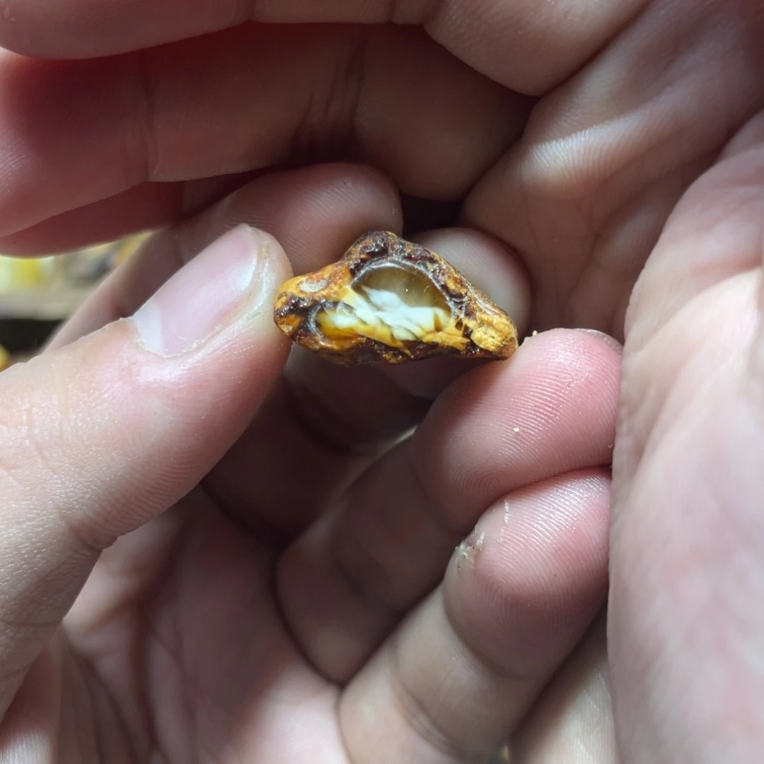 定制琥珀天然原矿